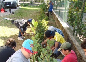 Alunni della Scuola media L.A.Muratori piantano una siepe in occasione dell'Earth Day 2015.